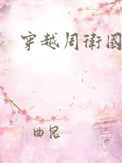 穿越周卫国小说