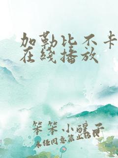 加勒比不卡av在线播放