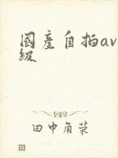 国产自拍av一级
