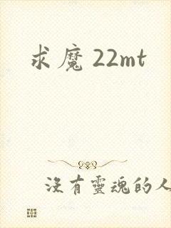 求魔 22mt