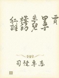 红楼梦里贾琏是谁的儿子