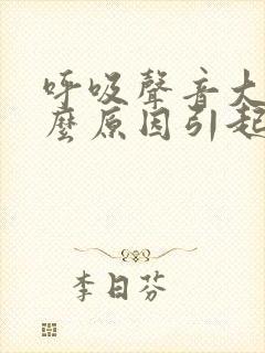 呼吸声音大是什么原因引起的