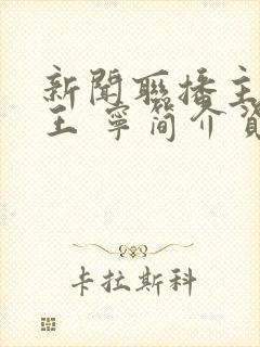 新闻联播主持人王 宁简介资料