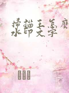 扫描王怎么去除水印文字