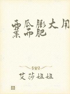 西瓜膨大用什么叶面肥 西瓜膨大用什么叶面肥