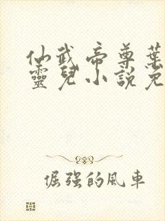 仙武帝尊叶辰楚灵儿小说免费版