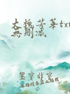 大魏芳华txt无删减