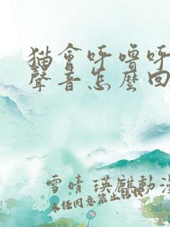 猫会呼噜呼噜的声音怎么回事