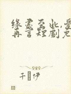 缘尽至此,爱不再言短剧免费