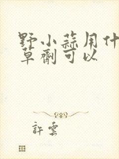 野小蒜用什么除草剂可以