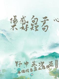伤感句子 心情不好短句