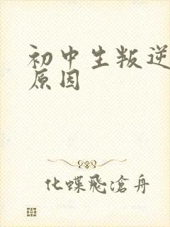 初中生叛逆心理原因