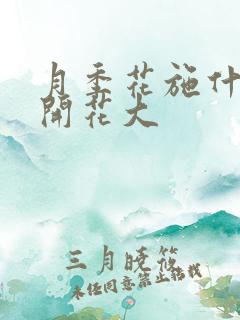 月季花施什么肥开花大