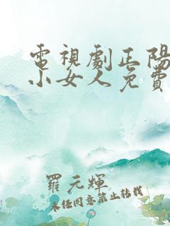 电视剧正阳门下小女人免费