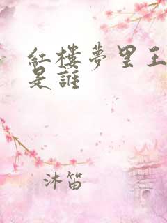 红楼梦里王夫人是谁