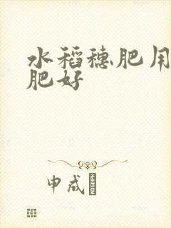 水稻穗肥用什么肥好