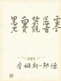 黑白禁区电视剧免费观看全集高清