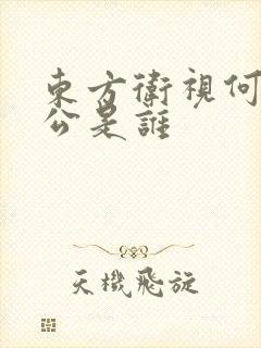 东方卫视何卿老公是谁