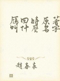 雁回时原著小说叫什么名字