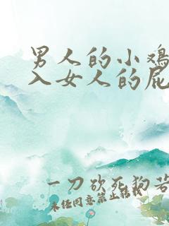 男人的小鸡鸡插入女人的屁屁 男人的小鸡鸡插入女人的屁屁
