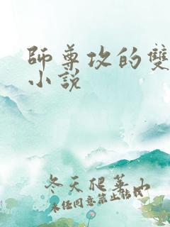 师尊攻的双男主小说