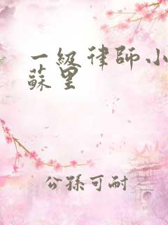 一级律师小说木苏里