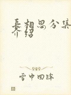 长相思分集剧情介绍