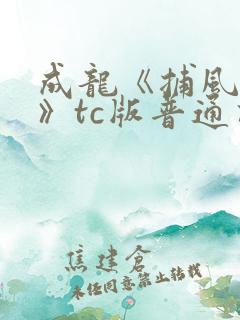 成龙《捕风追影》tc版普通话