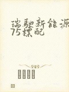 瑞驰新能源ec75标配