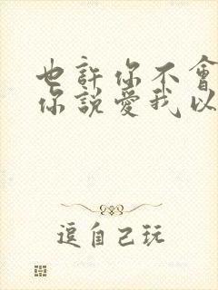 也许你不会懂从你说爱我以后是什么歌