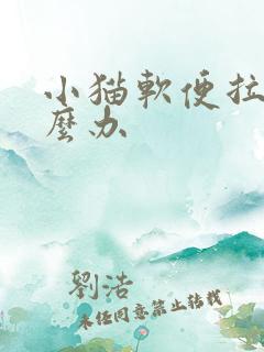 小猫软便拉稀怎么办