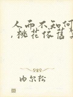 人面不知何处去, 桃花依旧笑春风.