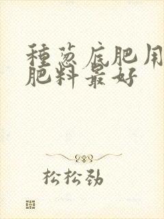 种葱底肥用什么肥料最好