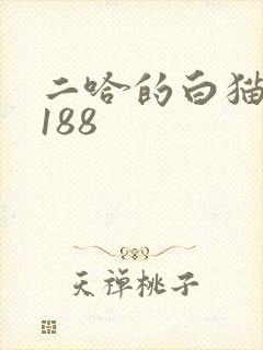 二哈的白猫师尊188