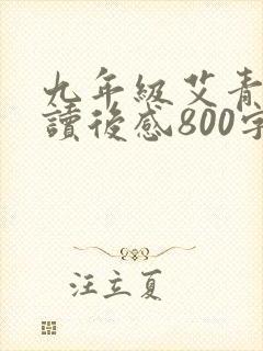 九年级艾青诗选读后感800字