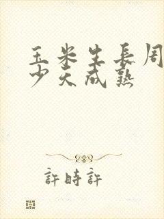玉米生长周期多少天成熟