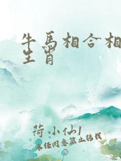 牛马相合相克的生肖