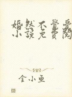 婚然不觉爱上你小说免费阅读