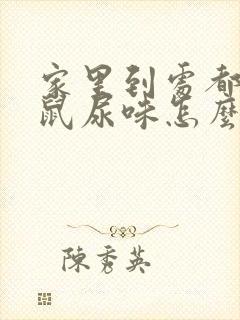 家里到处都是老鼠尿味怎么办