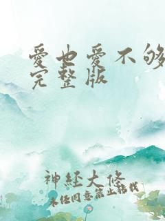 爱也爱不够歌词完整版