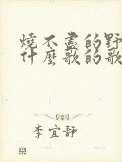 烧不尽的野火是什么歌的歌词