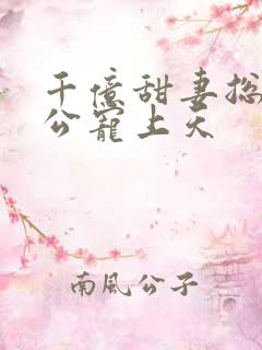 千亿甜妻总裁老公宠上天
