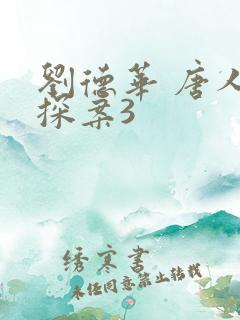 刘德华 唐人街探案3