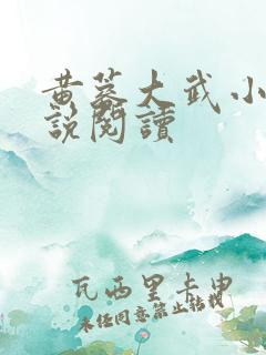 黄蓉大武小武小说阅读
