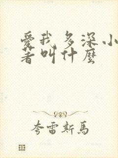 爱我多深小说原著叫什么