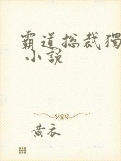 霸道总裁独宠妻 小说