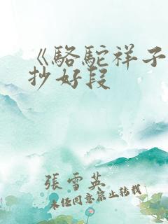 《骆驼祥子》摘抄好段