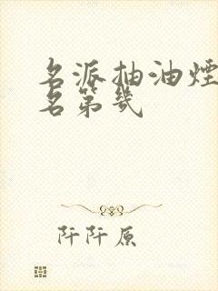 名派抽油烟机排名第几