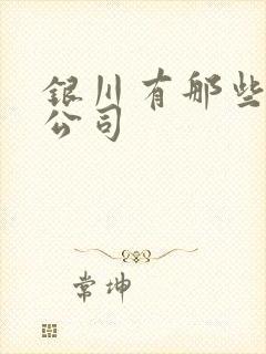 银川有那些租车公司 银川有那些租车公司
