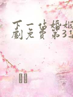 下一站婚姻电视剧免费第3集